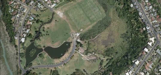 A wide variety of functions and habitats at Onepoto (linking urban green corridors)