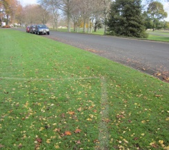 Dangerous field margins